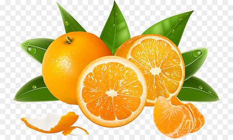 Kisan Rail will run from Nagpur during the orange season