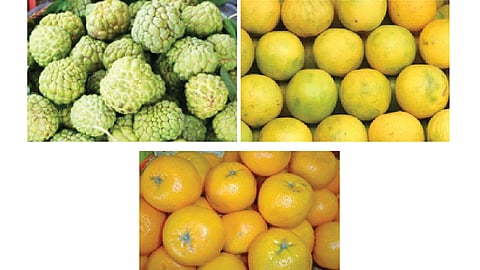 orange-custard-apple