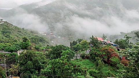 jawali