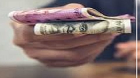 28 crore rupees fraud in company cheated by people in ratnagiri