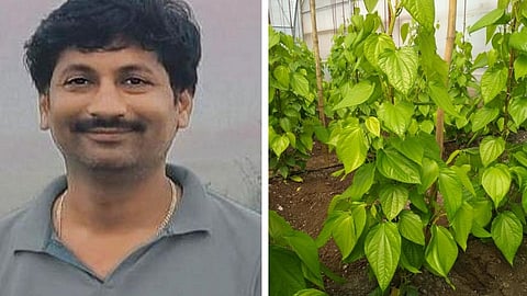 success story of bhima uddagatti in chikodi belgaum received farming benefits rupees 5 lakh