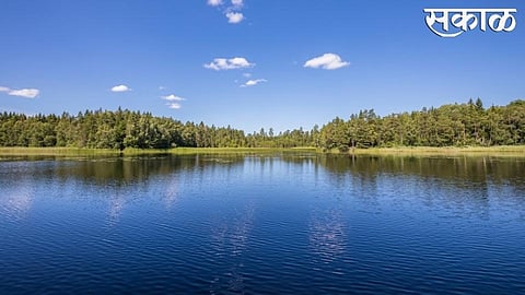 water crown died when eat a fish in rankala lake kolhapur
