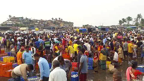 tourism started in ratnagiri