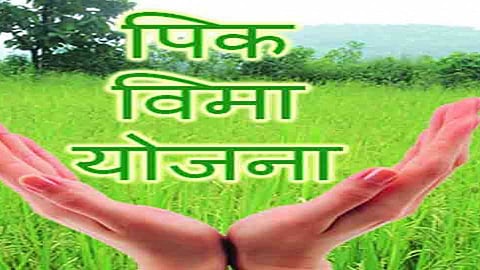 पीकविम्याची मुदत 15 ऑगस्टपर्यंत वाढवा, शेतकऱ्यांची मागणी