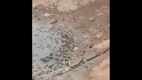 On the pimprichandwad road have many encroachment and potholes