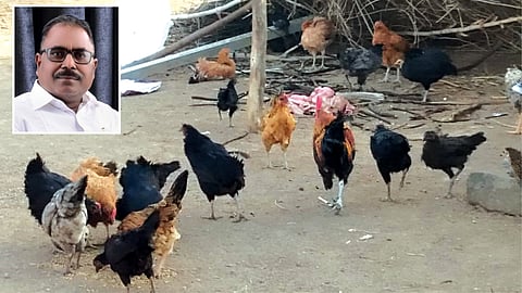 "जवान हूँ नादान नही'