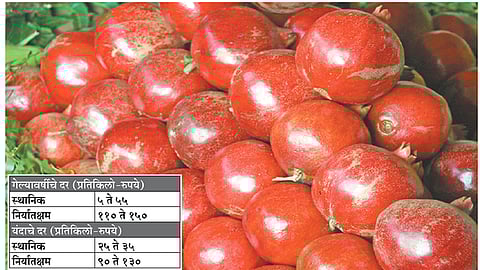 बाजारात डाळिंबाचे दर दबावात