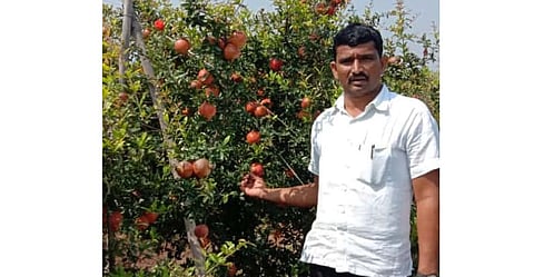 ...मग काय इंदापुरातील शेतकऱ्यावर झाला पैशांचा पाऊस