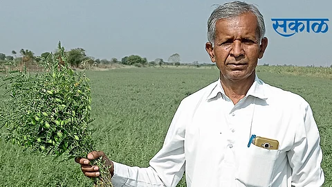 केवळ पावसाच्या पाण्यावर फुलवलेली दर्जेदार शेती