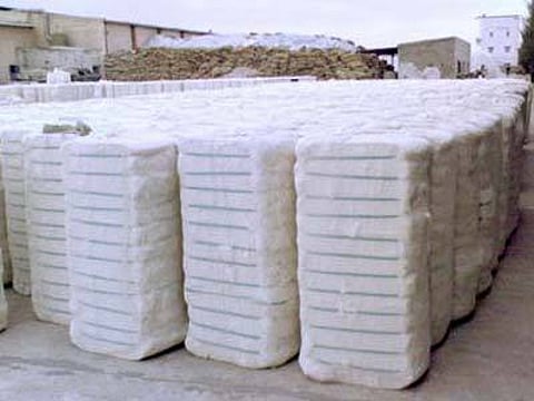 कोरोना’मुळे देशात ‘स्वदेशी’ची चलती ; कापसाच्या गाठींची निर्यात घटली !