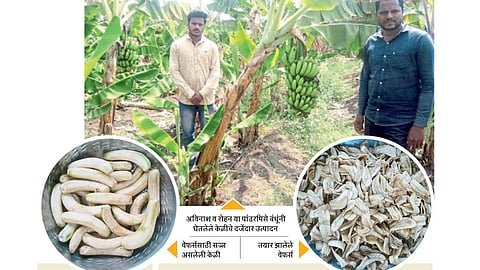 लॉकडाऊनच्या काळात 'या' दोघा युवा बंधूंनी केला यशस्वी प्रयोग