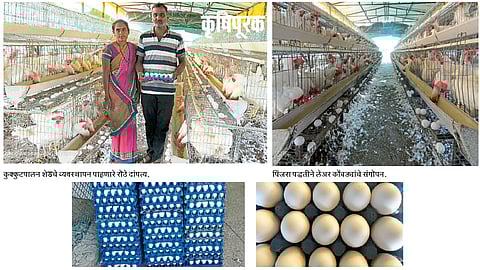 लेअर कुक्कुटपालनातून मिळवली आर्थिक सक्षमता