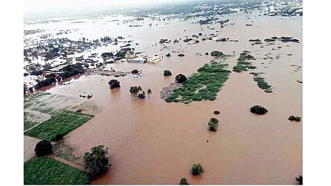 Sangli Flood Study In Japan Sangli Marathi News