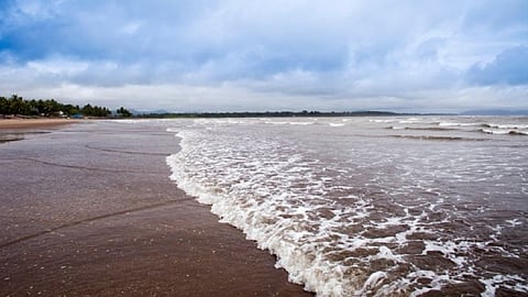 fisherman dead in ratnagiri tapped out net from sea