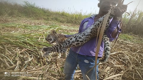 selfie with leopard.jpg
