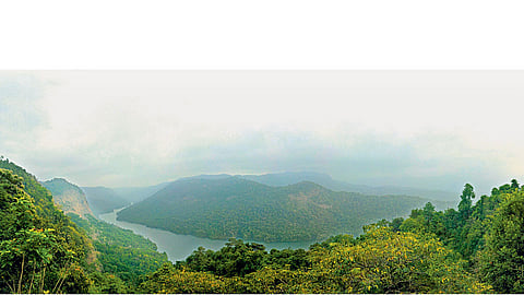 कर्नाटकातील शरावती अभयारण्याचं नयनरम्य दृश्य. (छायाचित्र : कल्याण वर्मा)