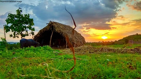 म्हणाली बाजारातून कपडे खरेदी करून येते आणि सासऱ्यांच्या शेतातील झोपडीत...
