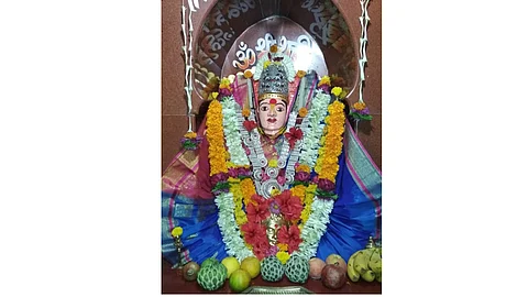 shirsai.jpg