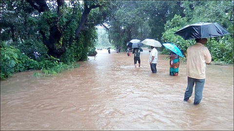 पुढील 3 दिवस राज्यात मुसळधार पावसाचा अंदाज