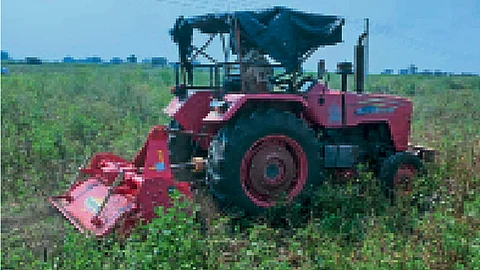 soyabean-farm