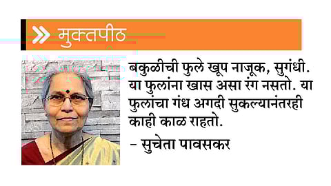 बकुळीची फुले (मुक्तपीठ)