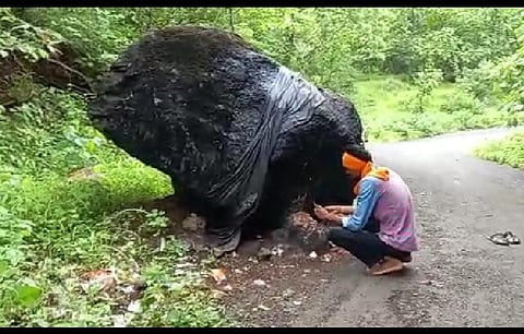 Akola Marathi News Satpuda mountain telyadev needs tobacco, bidis and cigarettes too, learn interesting story