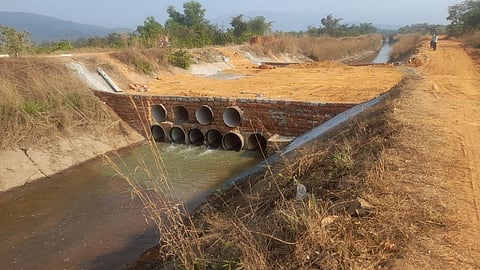 tilari dam water dodamarg konkan sindhudurg