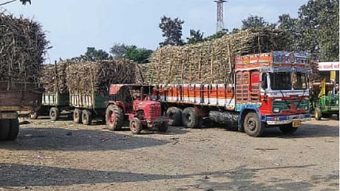 corona cause a shortage of laborers for cane harvesting Similarly the number of trucks tractors and bullock carts coming to the district from outside will be less