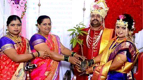 Pune news tree plant distribute in marriage ceremony