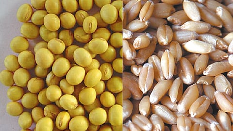 शेतीमाल बाजारासाठी नवे वर्ष आशादायक