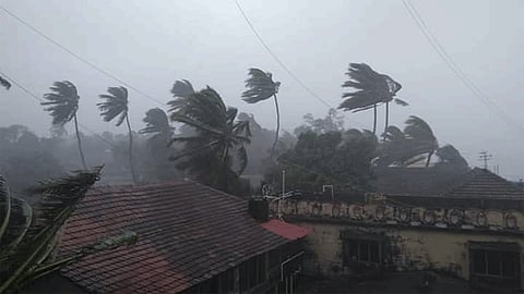 nisarga cyclone live update impact on ratnagiri district