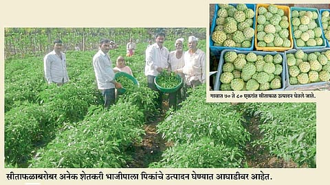 agrowon special story Wadki village