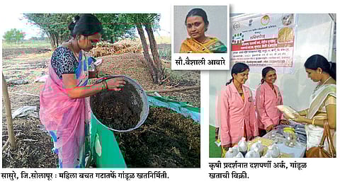 बचत गटाच्या माध्यमातून सेंद्रिय शेतीला दिली चालना