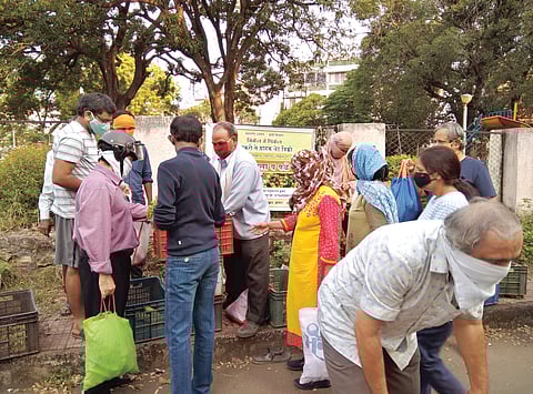 The new ideal of self sufficient farming