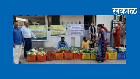 उच्चशिक्षित तरुणांनी धरली सेंद्रीय शेतीची वाट; भाजीपाला विक्रीतून साधली प्रगती 