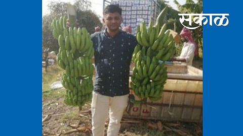 पुण्यातील नोकरीला तरुणाने केले बाय बाय; आणि गावी शेती करून मेहनतीचा वाजविला सातासमुद्रापार डंका