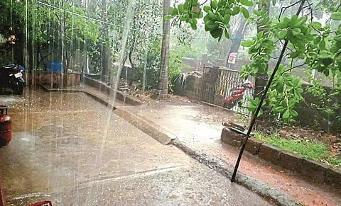 rain in konkan sindhudurg