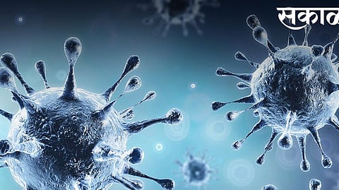 13 corona infected in Nanded district on Saturday