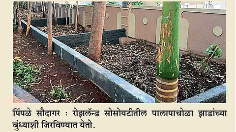 झीरो गार्बेजवर रोझलॅंडचा ‘आपले घर’ लघुपट