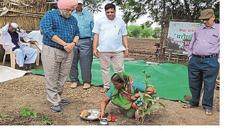 "Gharoghari Devarai's Glory from UNO"; One million fruit seedlings will be planted in Jat