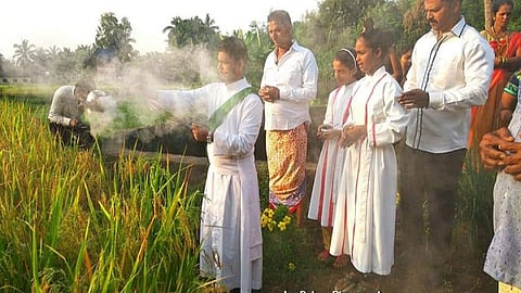 VIDEO| ठाणे जिल्ह्यात पाळली जाते अनोखी प्रथा; भाताच्या कापणीपूर्वी ख्रिश्चन धर्मगुरू, शेतकरी करतात प्रार्थना