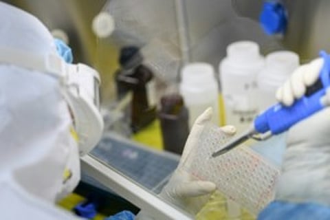 हुश्श ः मराठा कॉलनीत सुटकेचा निःश्वास