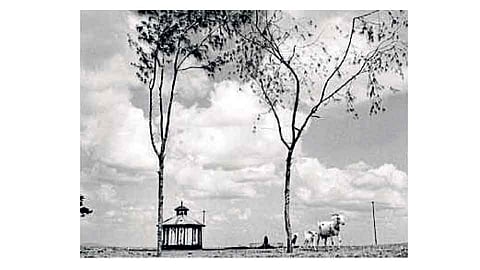 कुठे हरवली मूळ त्र्यंबोली टेकडी?