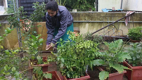कचऱ्यातून फुलवला भाजीपाला