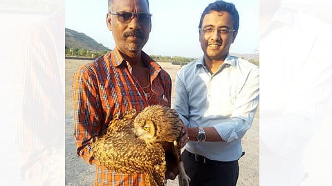 दुर्मिळ जातीच्या घुबडाला मिळाले जीवदान