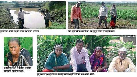 अविरत कष्ट, एकीतून कुटुंब झाले स्वयंपूर्ण