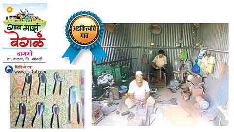 #Specialtyofvillage  कलाकुसरीच्या अडकित्त्यांचं बागणी