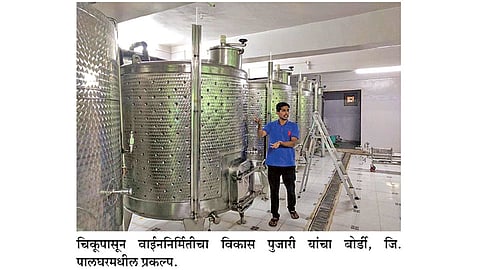 आंबा, काजू, जांभूळपासून वाईननिर्मिती