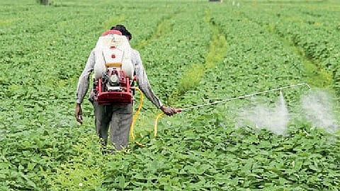 कीटकनाशकातून विषबाधा झाल्यास मदत