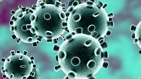 37 new Corona positive patients on Tuesday in east haveli